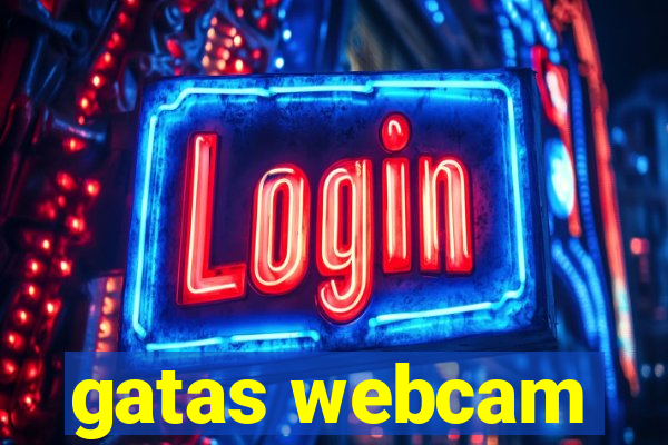 gatas webcam